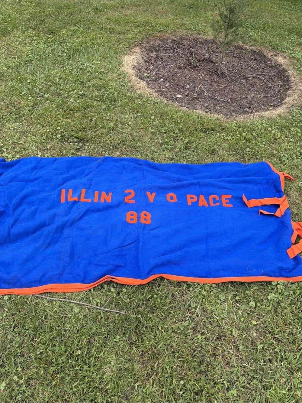 Royal Blue Orange Cooler Blanket for Horse Illin 2 Y O Pace 88